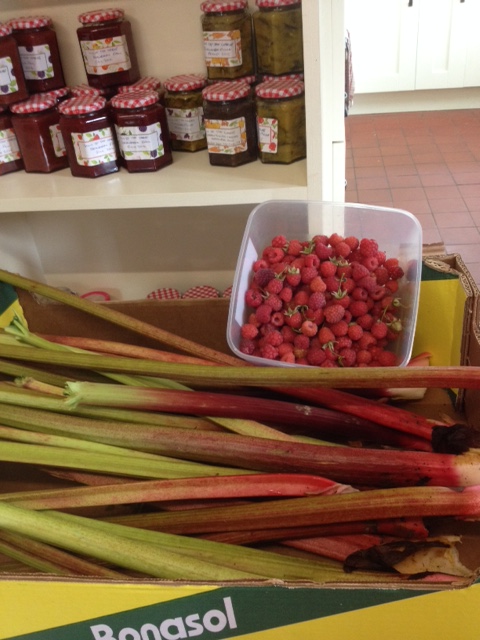 rhubarb and raspberries