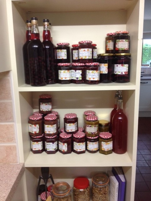 rhubarb-and-sloe-gin