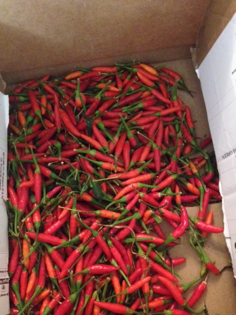 peppers