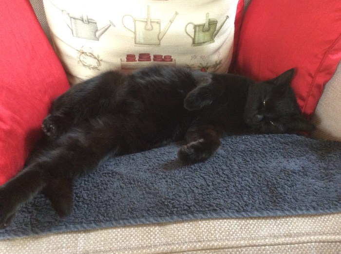 92046E02-D054-436C-B102-F53765CD1C0C