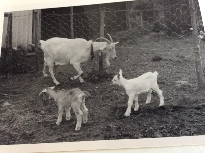 D10FFFE1-5124-49B1-ADF7-0FBAA72D2C9C