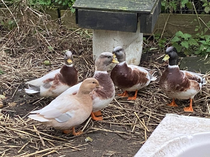 06434CDA-7A56-4F27-942E-B5F496B1D75B