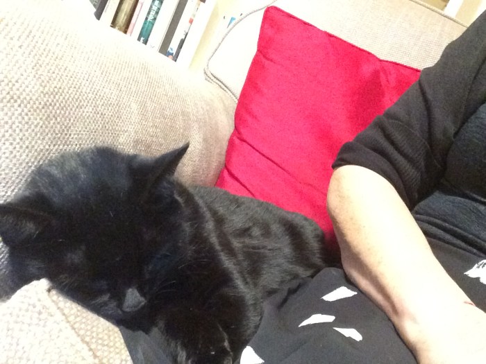 951AB4AE-AAD1-4765-9913-4EB3F75984F0