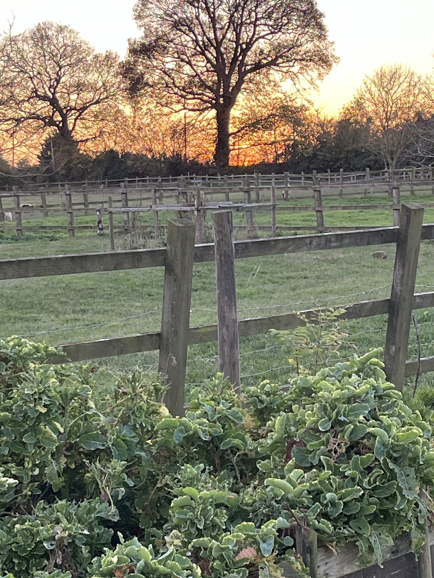 The sun sets on a glorious (and freezing cold) day | gfreedmanblog