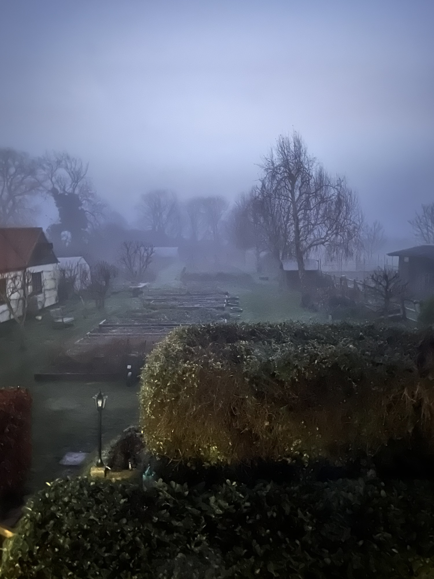 A foggy start to the day | gfreedmanblog